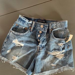 High Rise Distressed Shorts
